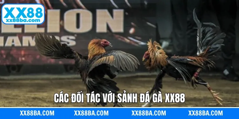 Các sảnh đá gà thịnh hành tại XX88 Các sảnh đá gà thịnh hành tại XX88