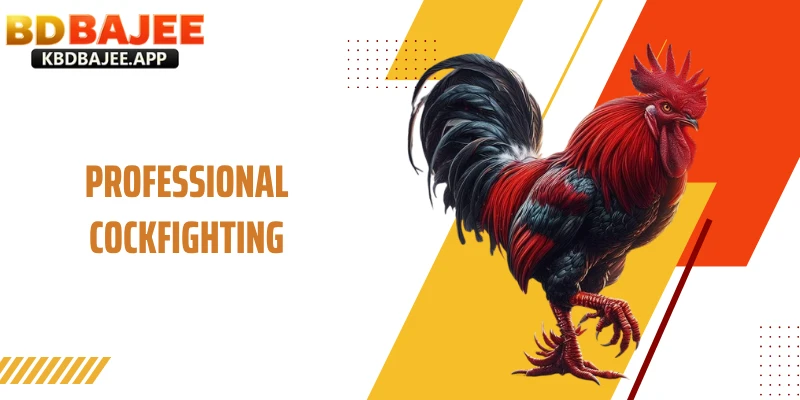 Professional Cockfighting